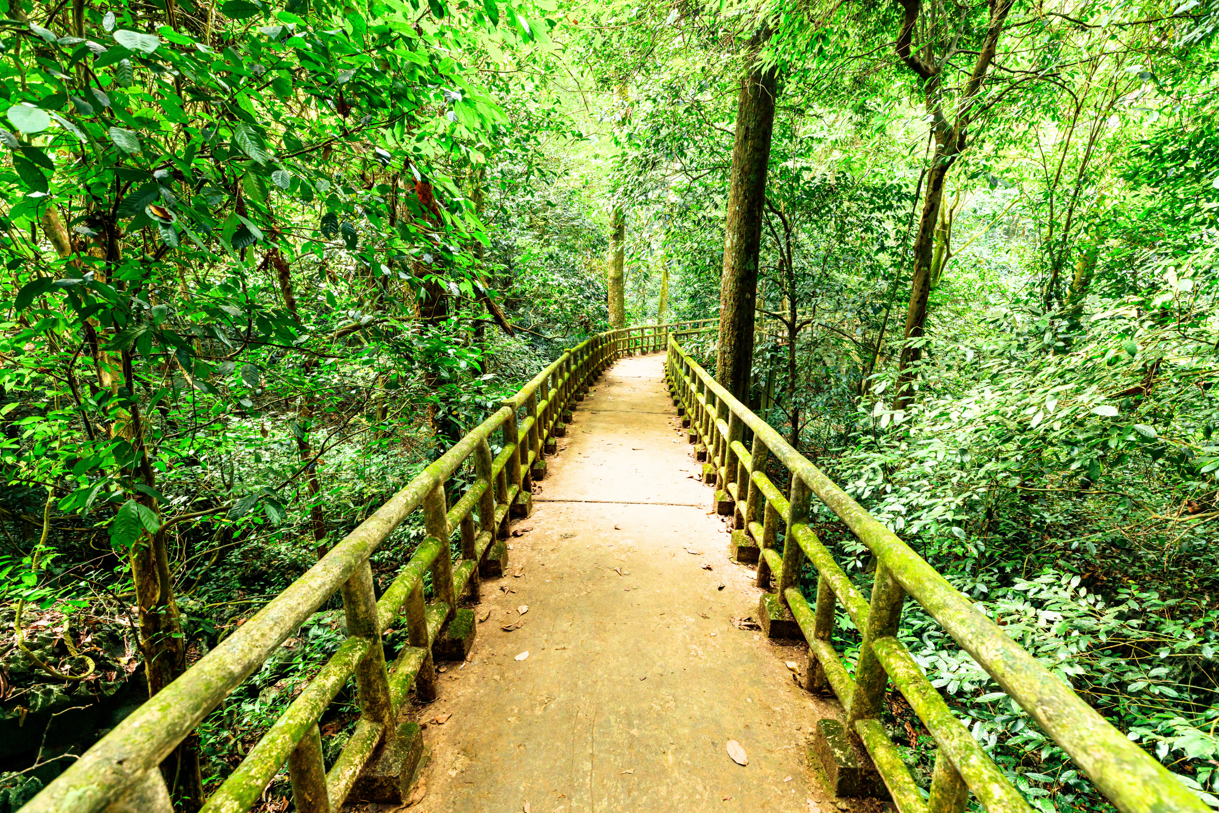 cuc phuong national park.webp